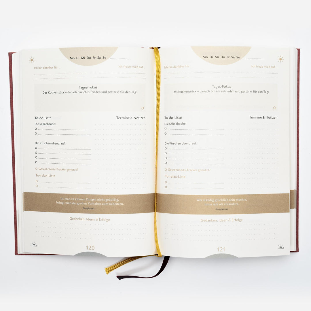 Das 6-Minuten-Erfolgsjournal (mittelblau) | Spenst, Dominik