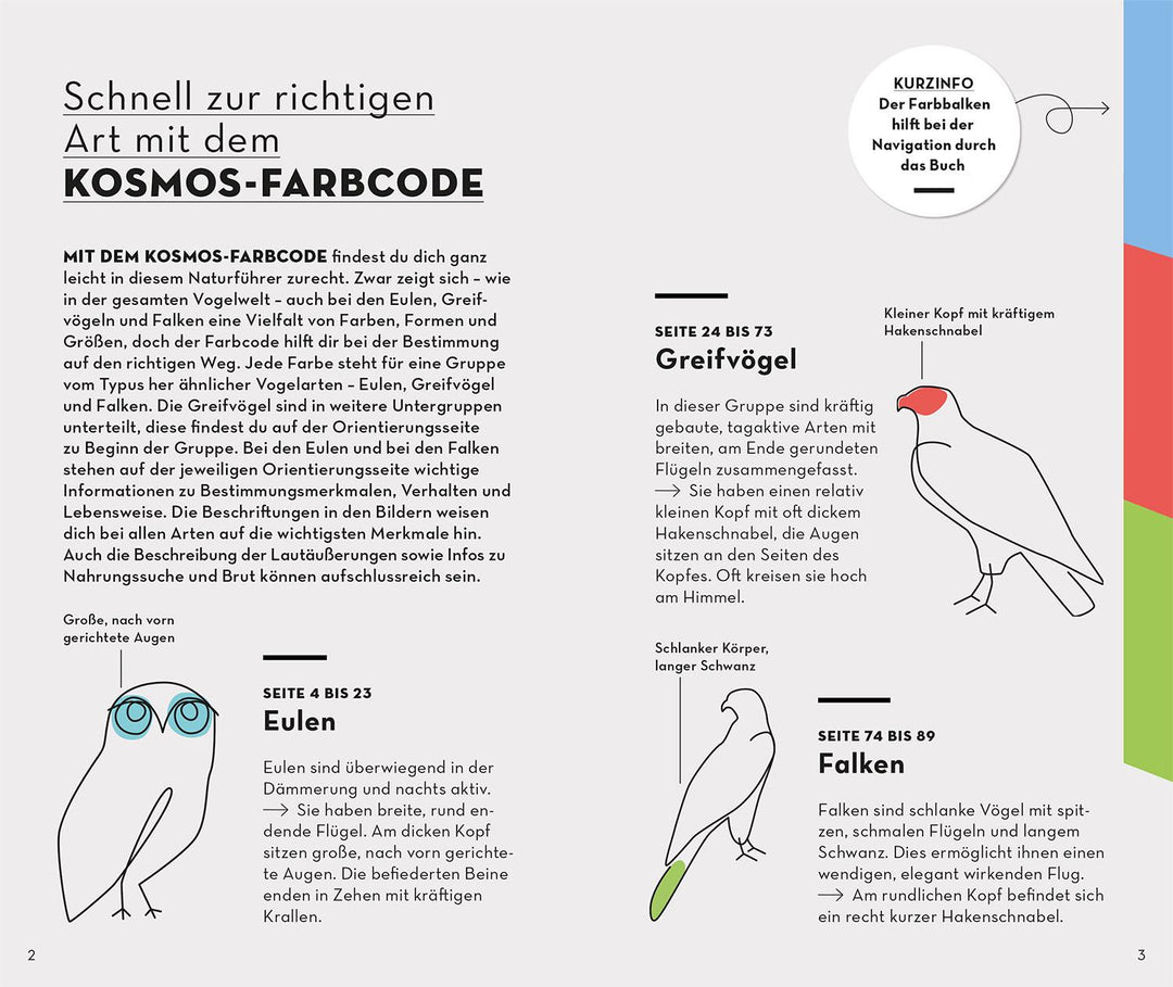 Basic Greifvögel und Eulen | Dierschke, Volker