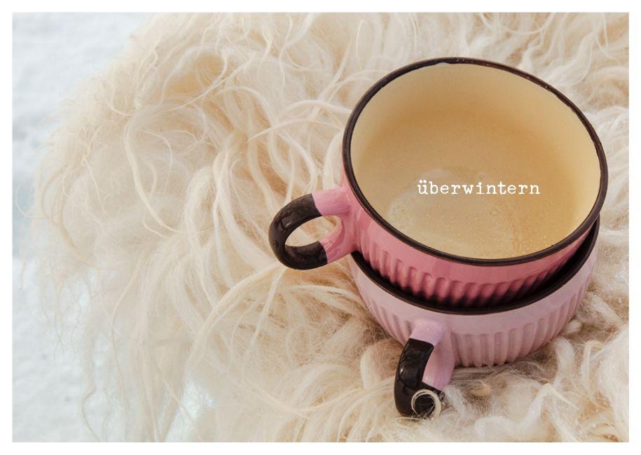 feste feiern - Postkartenbuch | Brall, Stephanie