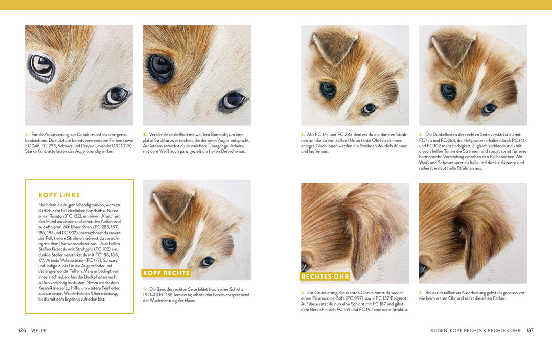 Zeichnen - Das große Buch der Tierporträts | Boehmer-Hoops, Susanne