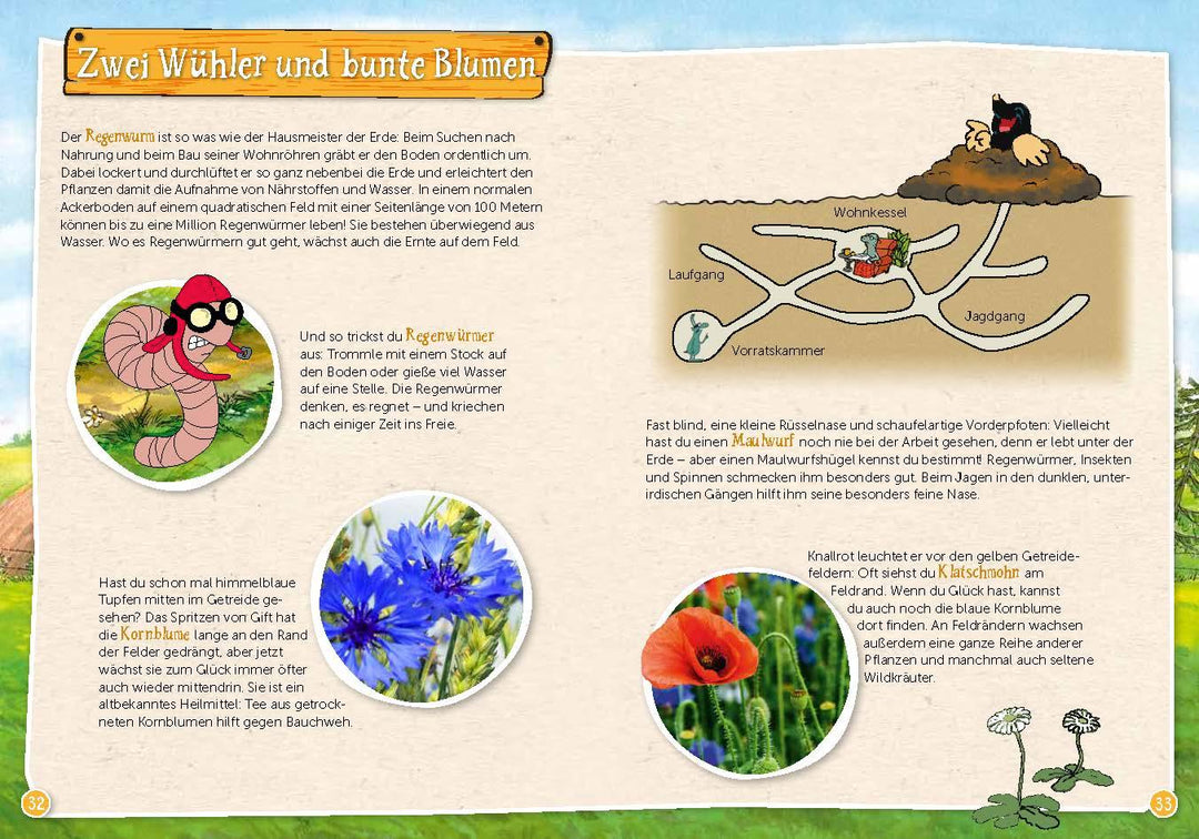 Pettersson und Findus: Mein großes Naturbuch | Nordqvist, Sven | Korda, Steffi