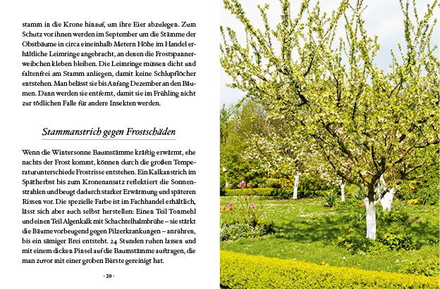 Das große kleine Buch: Obstbäume in unserem Garten | Papouschek, Elke