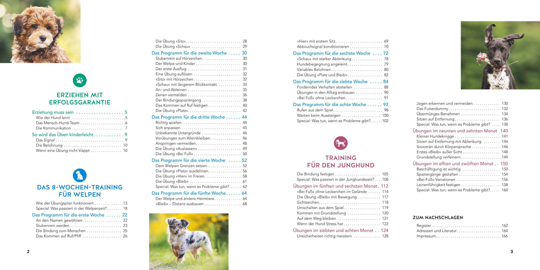 Welpen-Erziehung | Schlegl-Kofler, Katharina