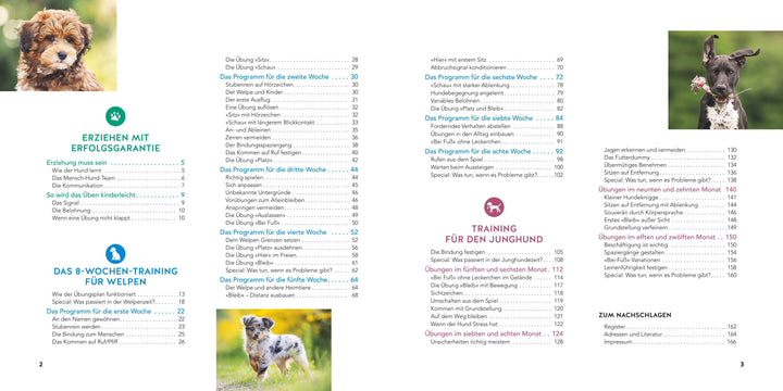 Welpen-Erziehung | Schlegl-Kofler, Katharina