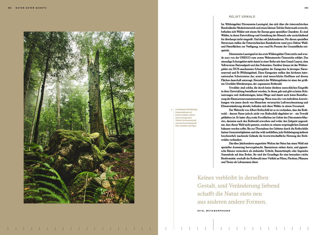 Der Alpenwald | Hochbichler, Eduard