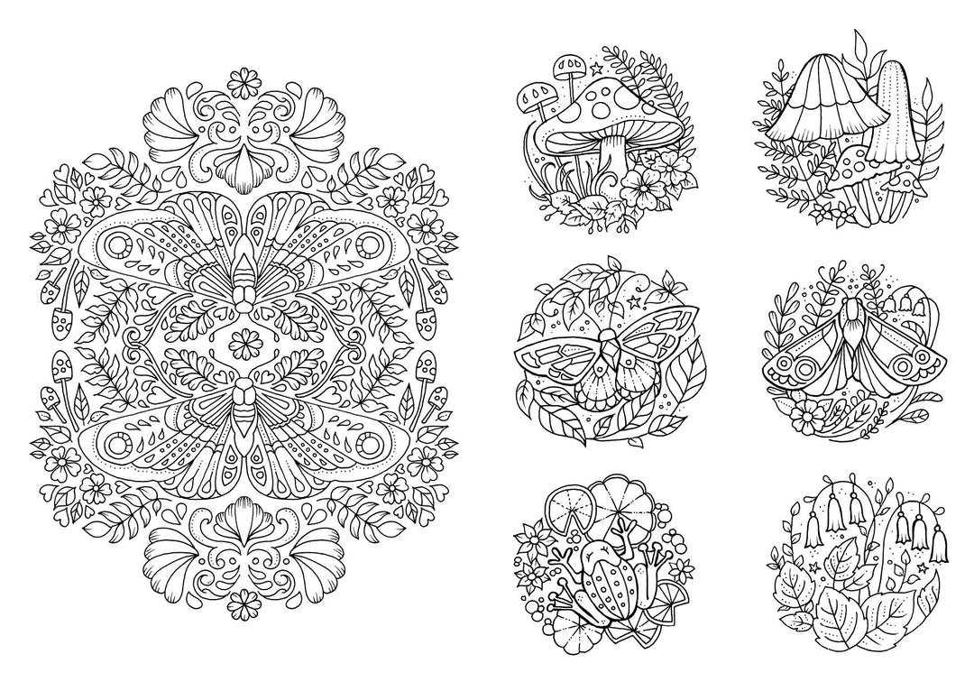 Kleine Wunderwelten | Basford, Johanna