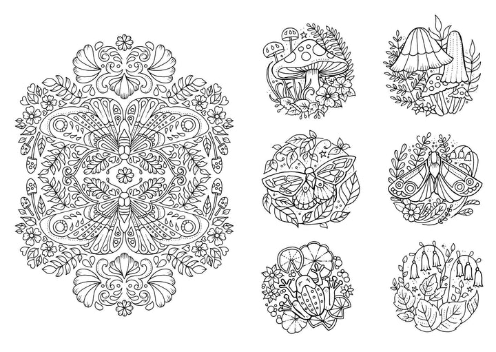 Kleine Wunderwelten | Basford, Johanna