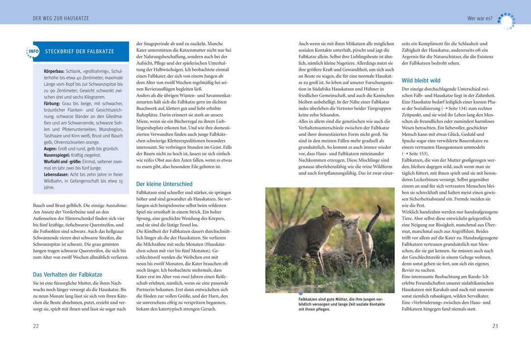 Was Katzen wirklich wollen | Pfleiderer, Mircea | Rödder, Birgit