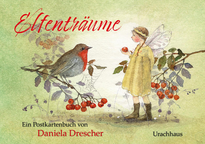Postkartenbuch "Elfenträume" | Drescher, Daniela