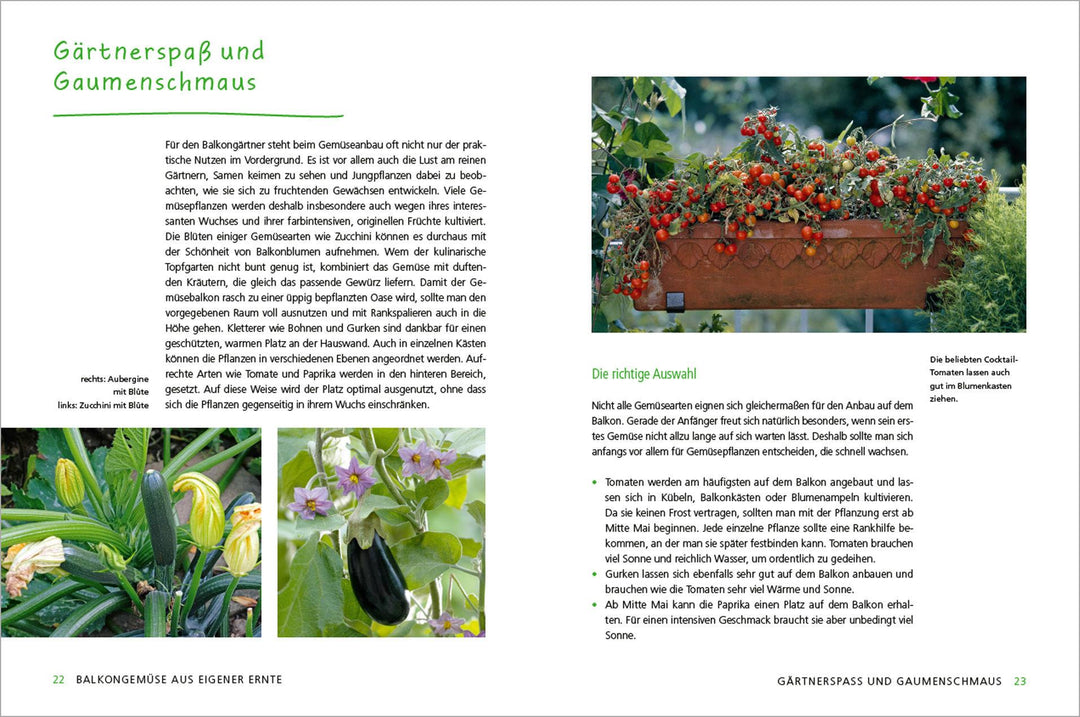 Alles Bio vom Balkon. Obst, Gemüse und Kräuter selber ziehen. | Kopp, Ursula