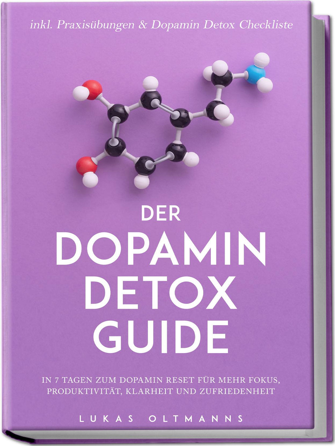 Der Dopamin Detox Guide - In 7 Tagen zum Dopamin Reset für mehr Fokus, Produ...
