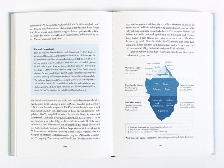 Die Reise zur glücklichen Eltern-Kind-Beziehung | Saalfrank, Katharina
