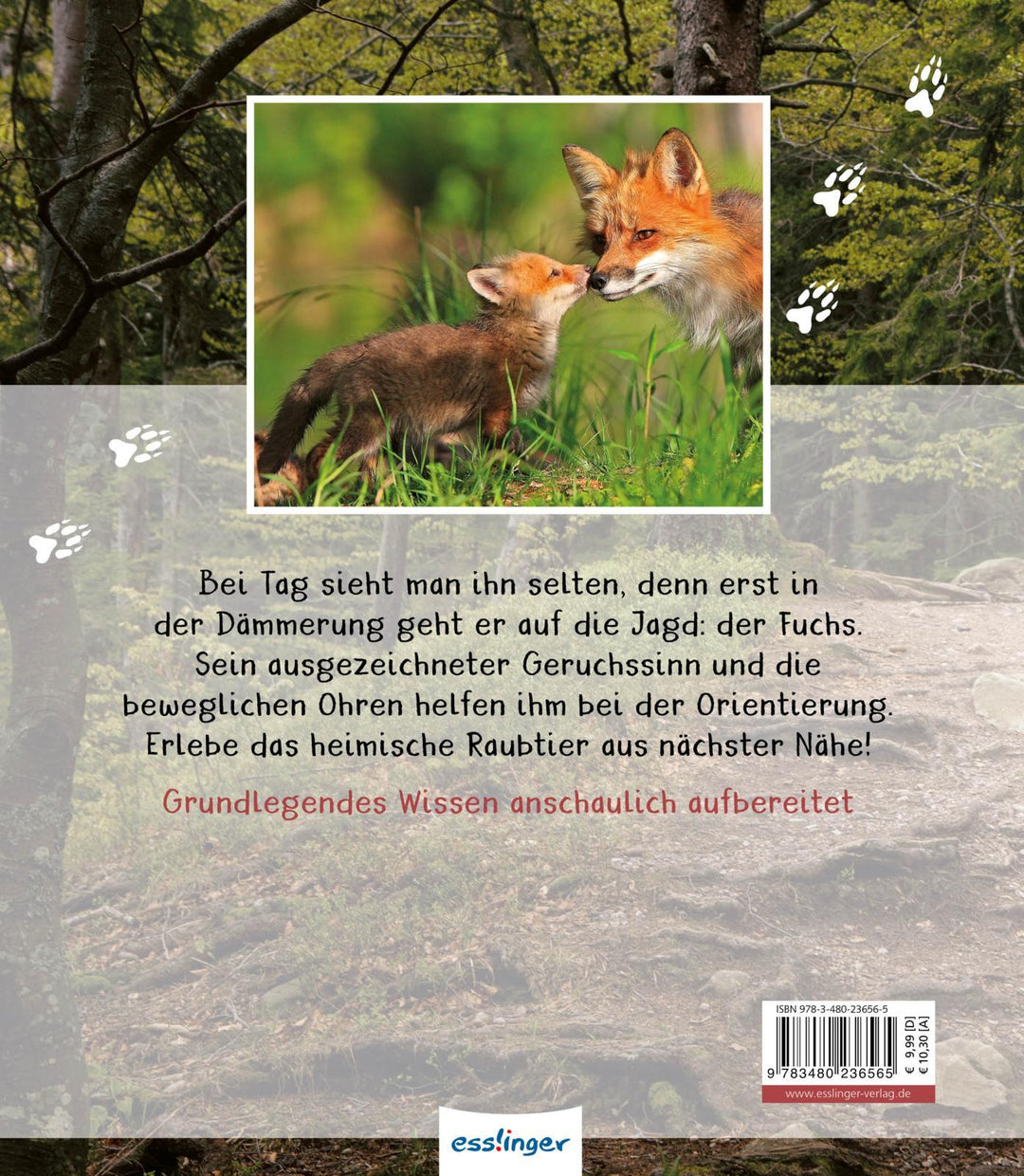 Meine große Tierbibliothek: Der Fuchs | Havard, Christian