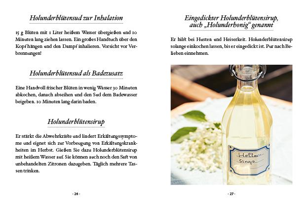 Das große kleine Buch: Holunderzeit | Klaushofer, Brigitta