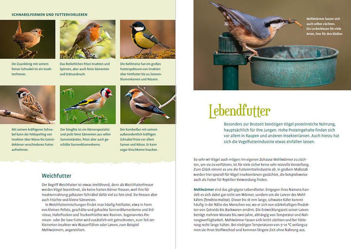 Vögel füttern im Garten | Schäffer, Norbert | Schäffer, Anita