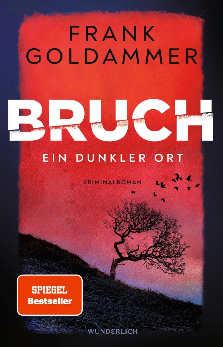 Bruch: Ein dunkler Ort | Goldammer, Frank
