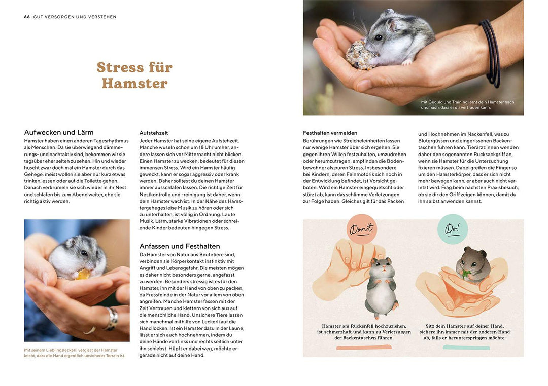 Hamster | Rößner, Saskia