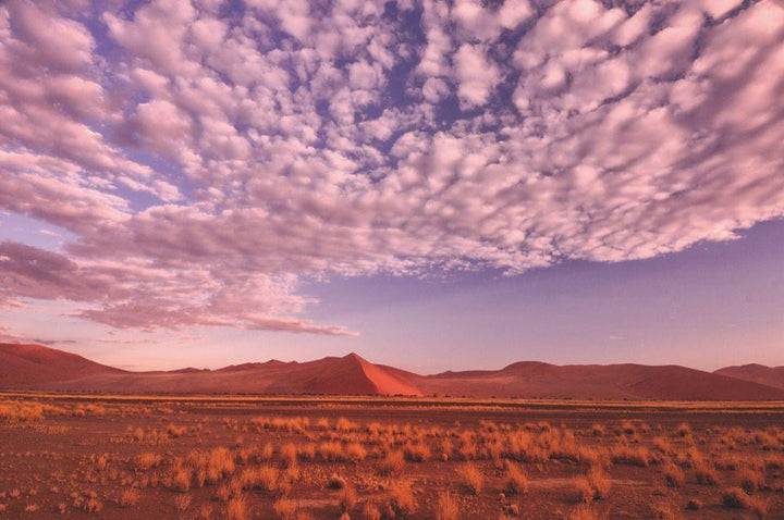 100 Highlights Afrikas Süden | Karl, Roland F.
