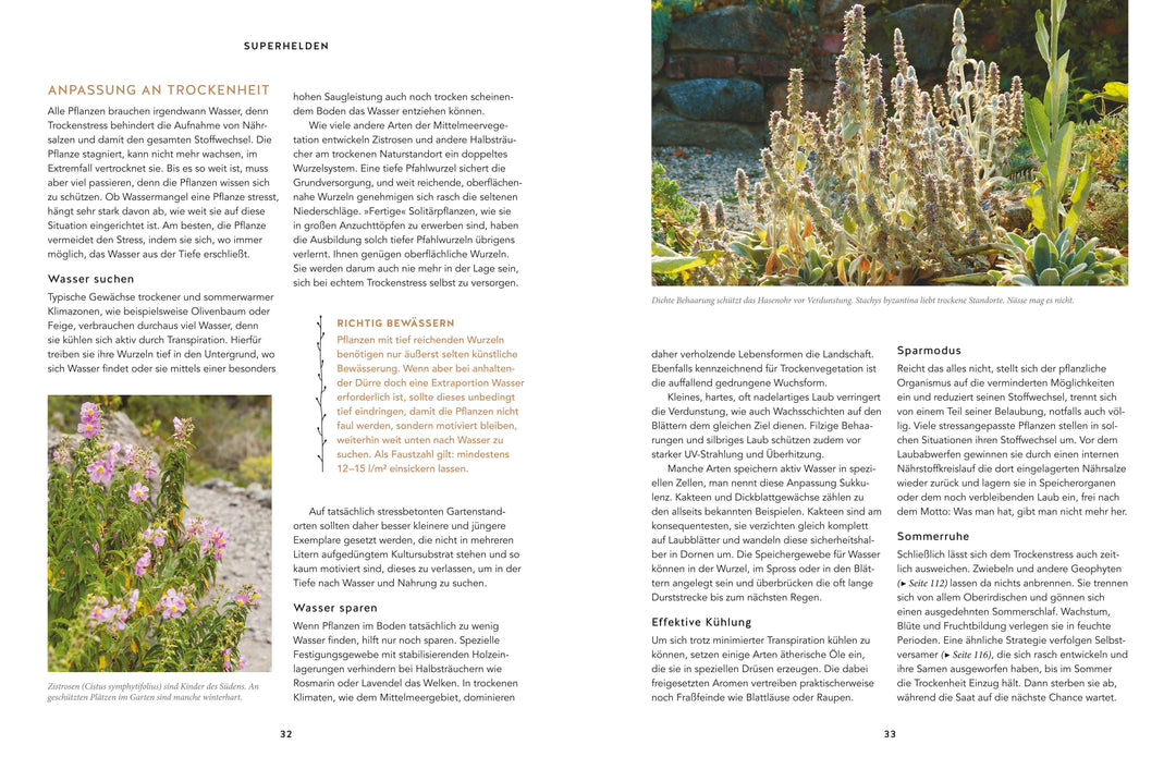 Und es wächst doch! | Matschiess, Torsten | Hofmann, Till