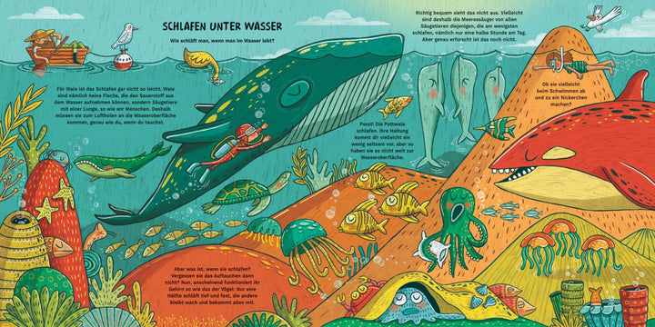 Wie Haie in die Heia gehen | Pérez, Maite | Torres, Xaviera