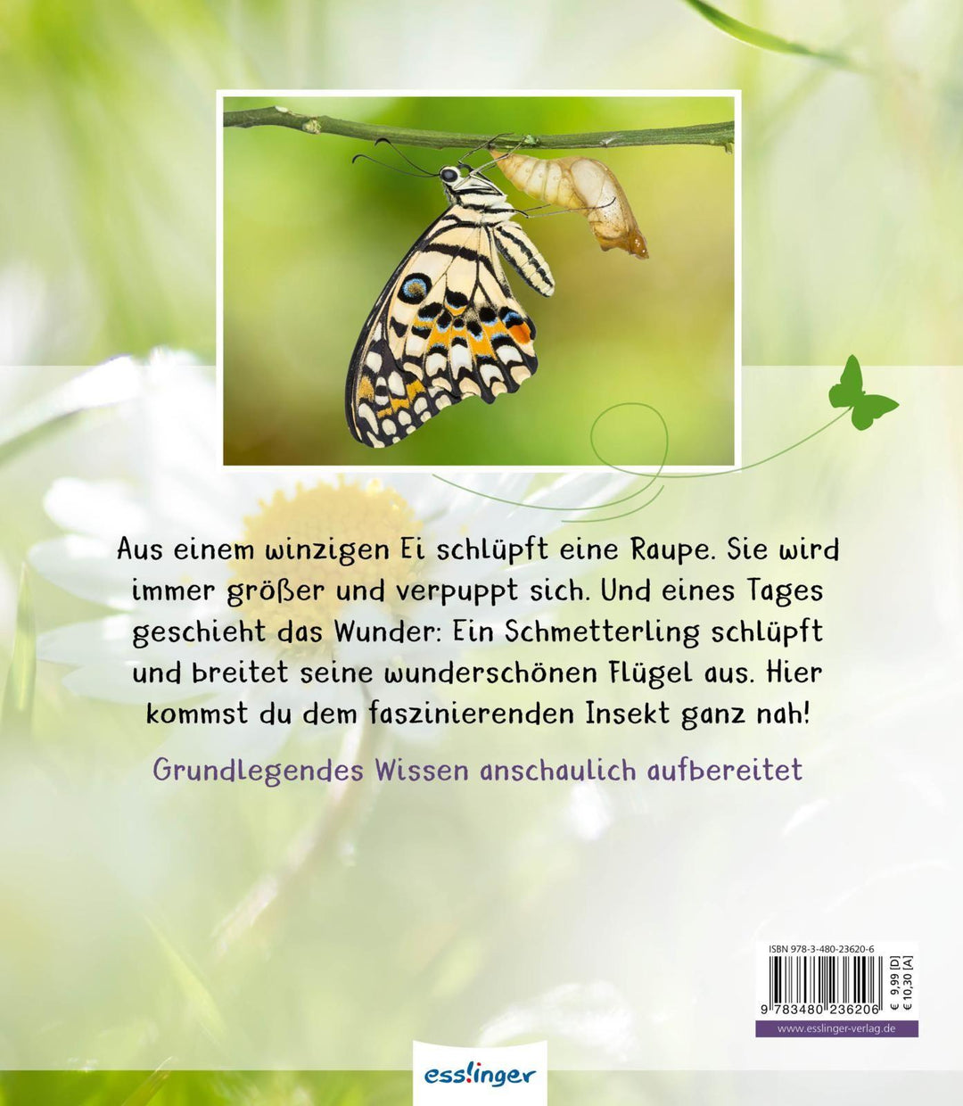 Meine große Tierbibliothek: Der Schmetterling | Tracqui, Valérie