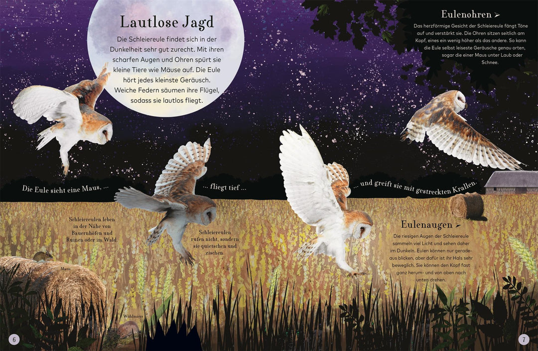 Wundervolle Reise durch die Nacht | -