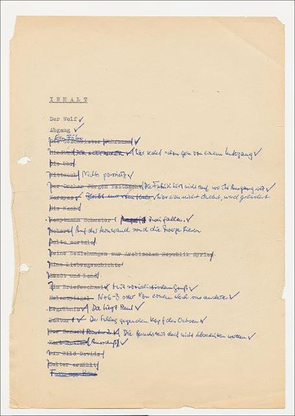 'Du mußt gegen den Wind laufen' | Brasch, Thomas