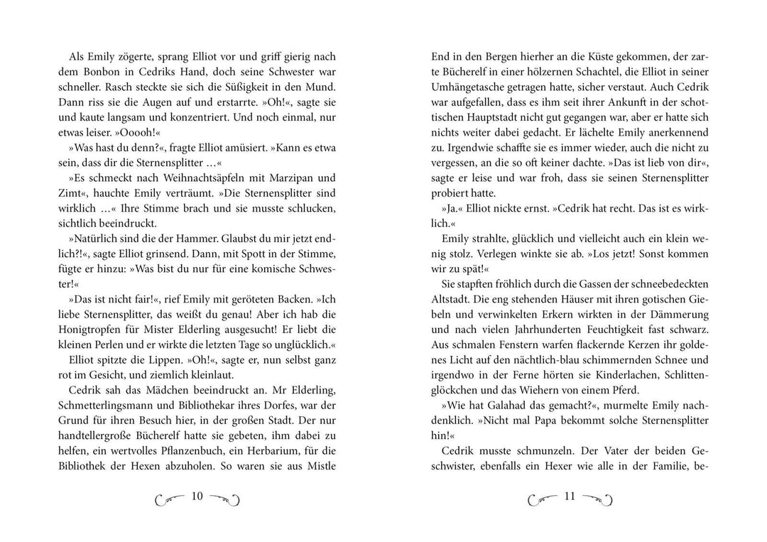 Der Druide von Mistle End 1: Angriff der Dämonen | Mirow, Benedict