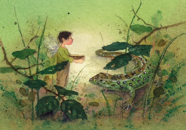 Postkartenbuch "Elfenträume" | Drescher, Daniela