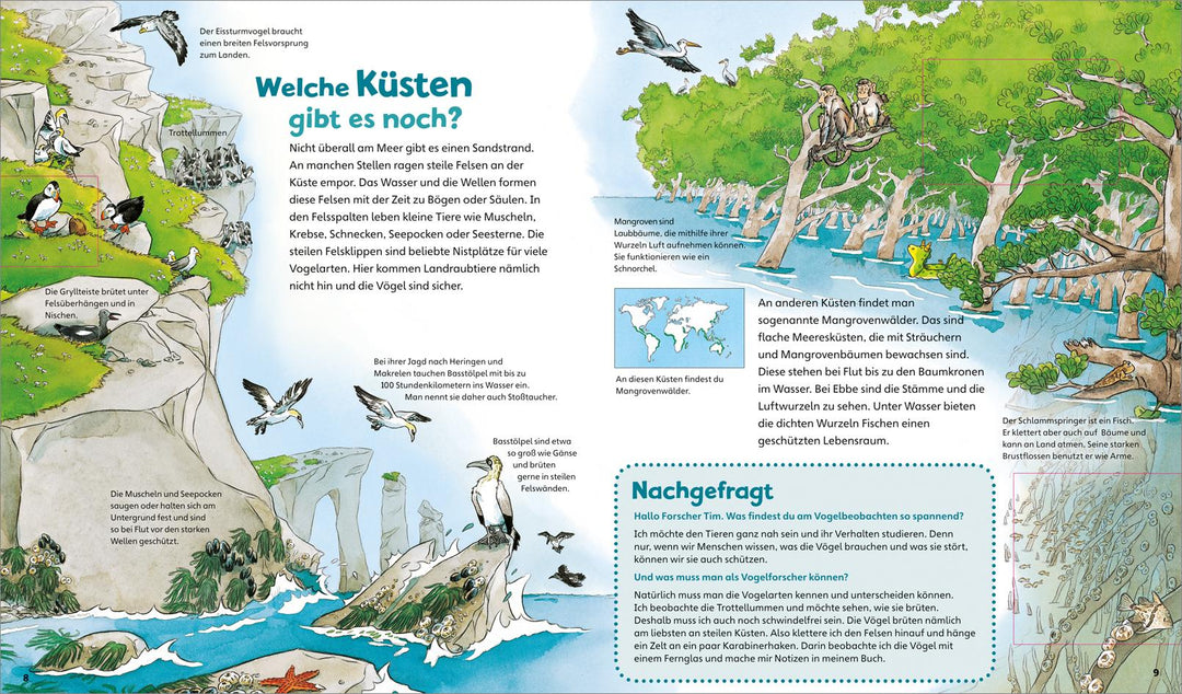 WAS IST WAS Junior Band 17. Das Meer | Braun, Christina | Schuck, Sabine