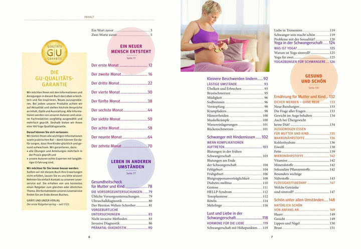 Schwangerschaft und Geburt | Villinger, Thomas | Sesterhenn-Gebauer, Birgit