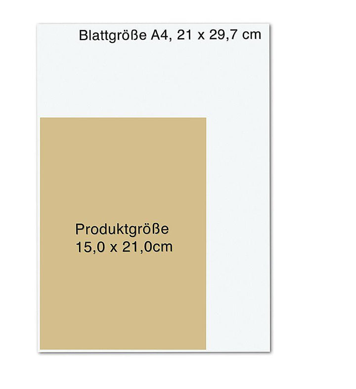 Reconnect. Wie wir uns wieder mit der Natur verbinden | Schneider, Maren