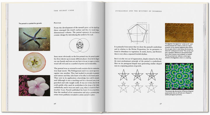 Der Geheime Code | Hemenway, Priya