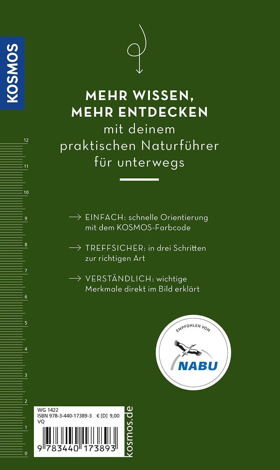 BASIC Blumen | Dreyer, Eva-Maria