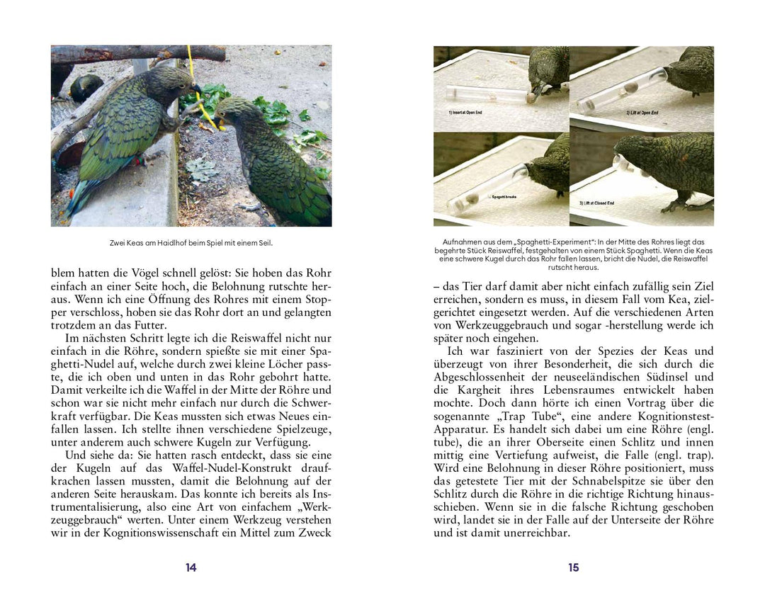 Der Erfindergeist der Tiere | Auersperg, Alice