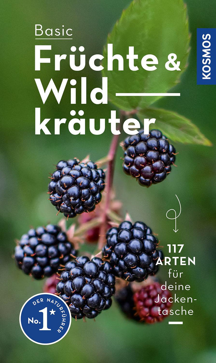 BASIC Früchte und Wildkräuter | Dreyer, Eva-Maria