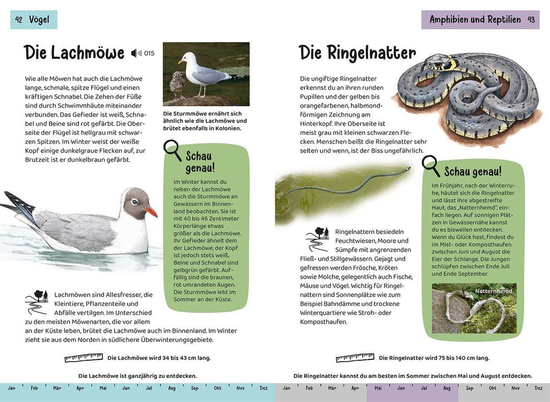 Was lebt an Bach und Teich? Kindernaturführer | Saan, Anita van