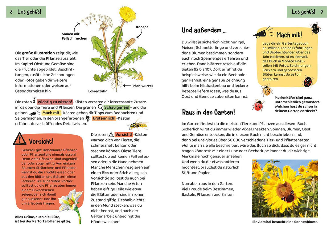 Was lebt im Garten? Kindernaturführer | Oftring, Bärbel