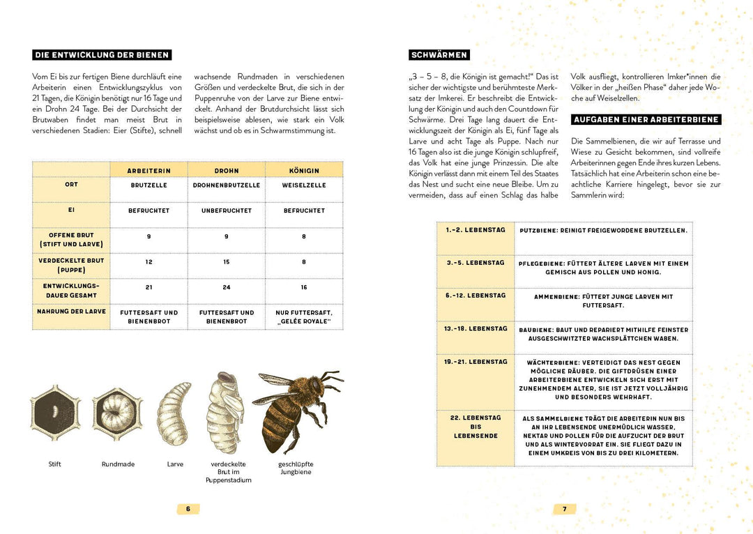 Mein Bienenjahr | Schrade, Pia