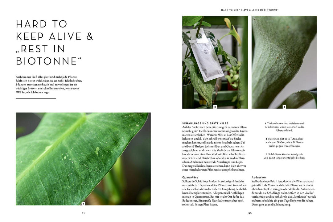 Zimmerpflanzenliebe | Hartwich, Antonia