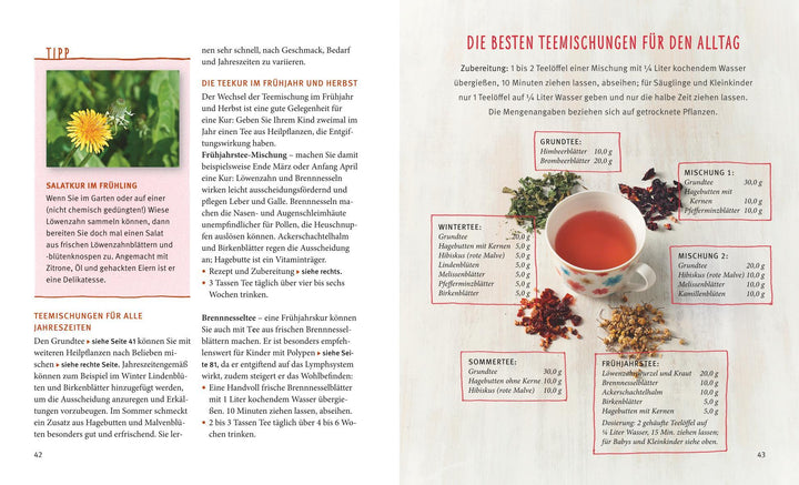 Kinderkrankheiten natürlich behandeln | Soldner, Georg | Stellmann, Michael