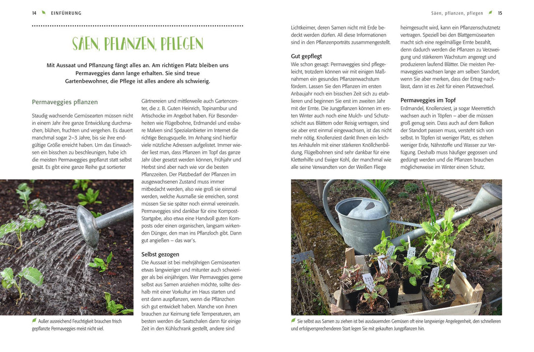 Gemüse forever! | Weidenweber, Christine