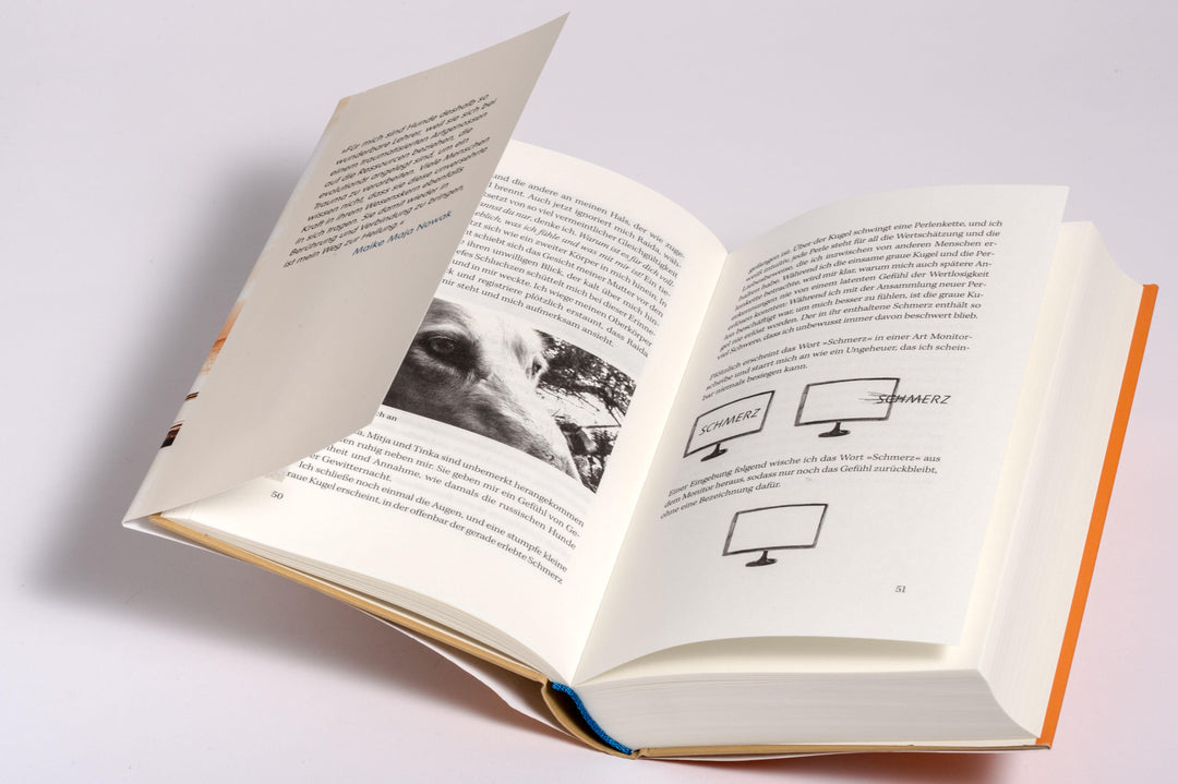 Der Hund als Spiegel des Menschen | Nowak, Maike Maja