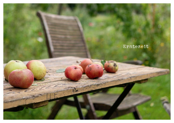 kleine Geste - Postkartenbuch | Brall, Stephanie