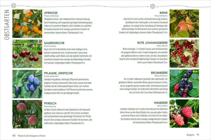 Mein Jahr im Kleingarten. Schrebergarten für Anfänger | Kopp, Ursula