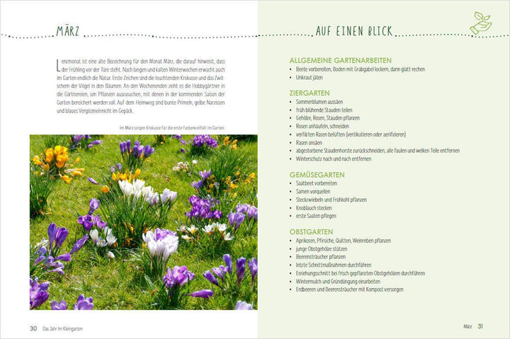 Mein Jahr im Kleingarten. Schrebergarten für Anfänger | Kopp, Ursula