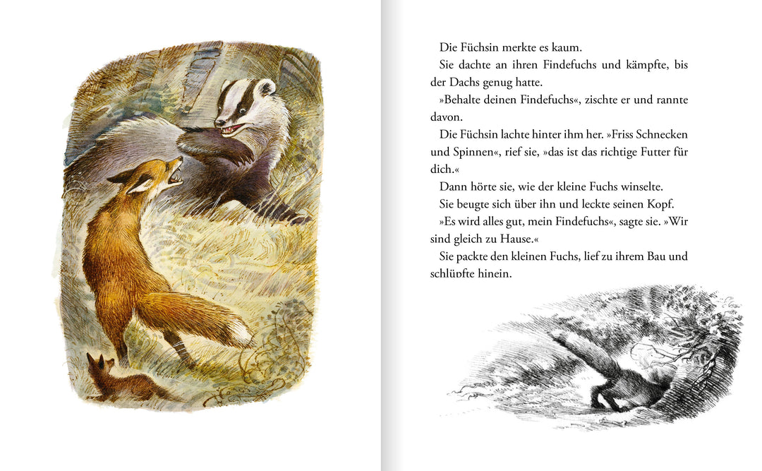 Der Findefuchs | Korschunow, Irina