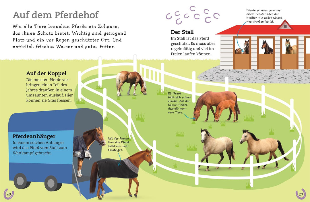 Pferde und Ponys | -