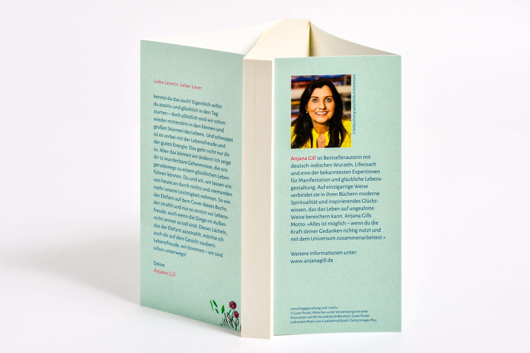 Die 12 Geheimnisse der Lebensfreude | Gill, Anjana