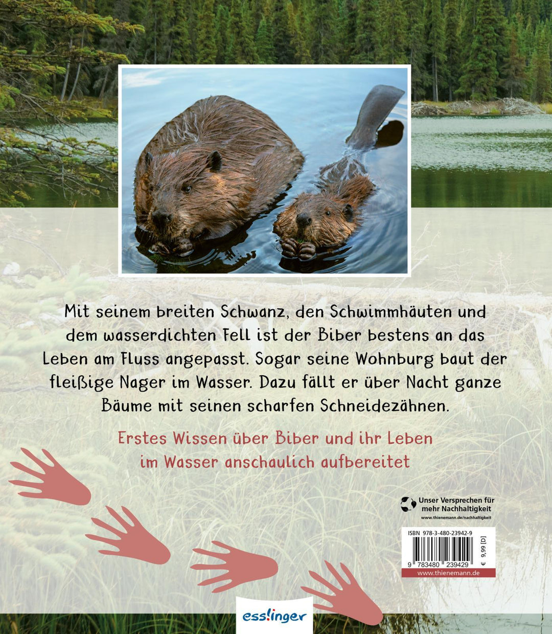 Meine große Tierbibliothek: Der Biber | Gutjahr, Axel